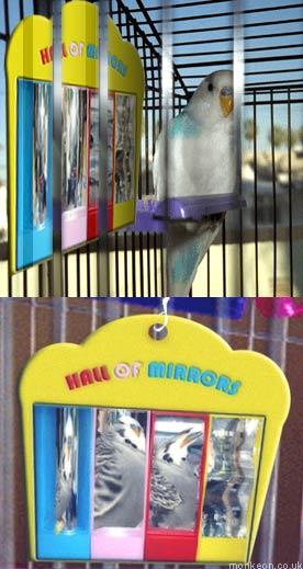 Budgie Hall of Mirrors