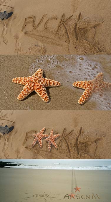 Starfish : Censors of the Sea